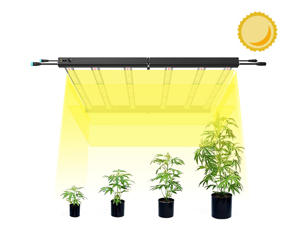 HL24 led grow light full spectrum