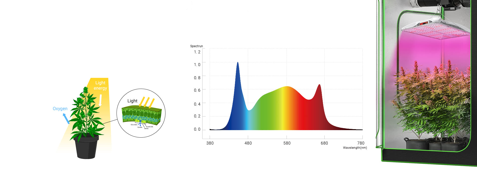 HL26-P02-03 grow light full spectrum